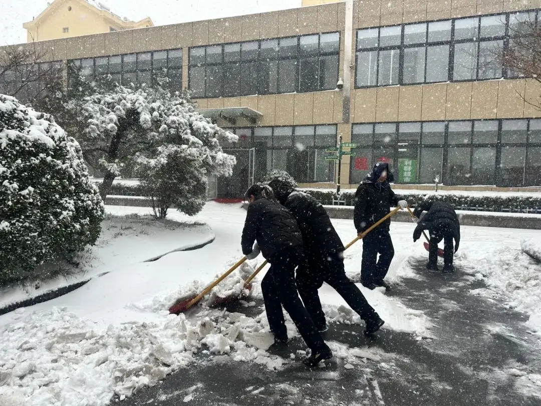 Топла струја у хладном таласу